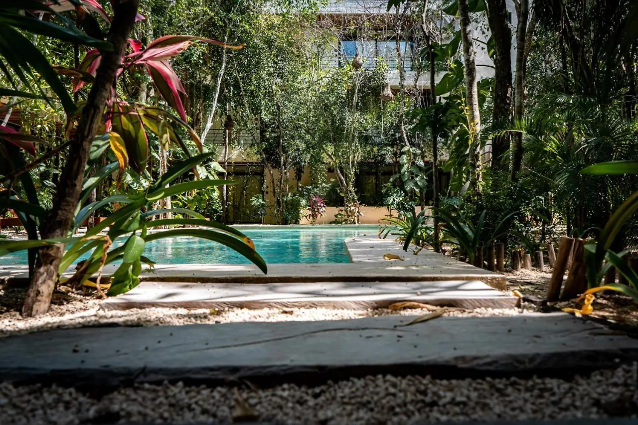 Casai - Private-Pool Hideaway In La Veleta'S Jungle Appartamento Tulum