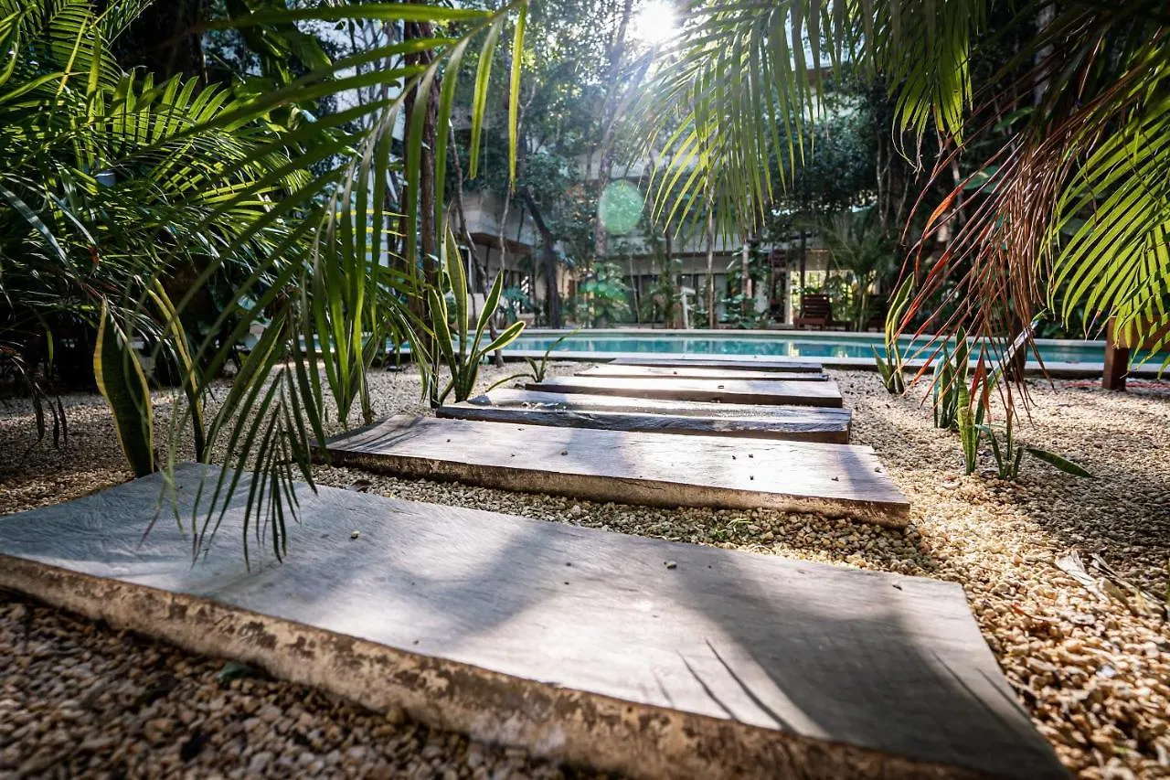 Casai - Private-Pool Hideaway In La Veleta'S Jungle Appartamento Tulum