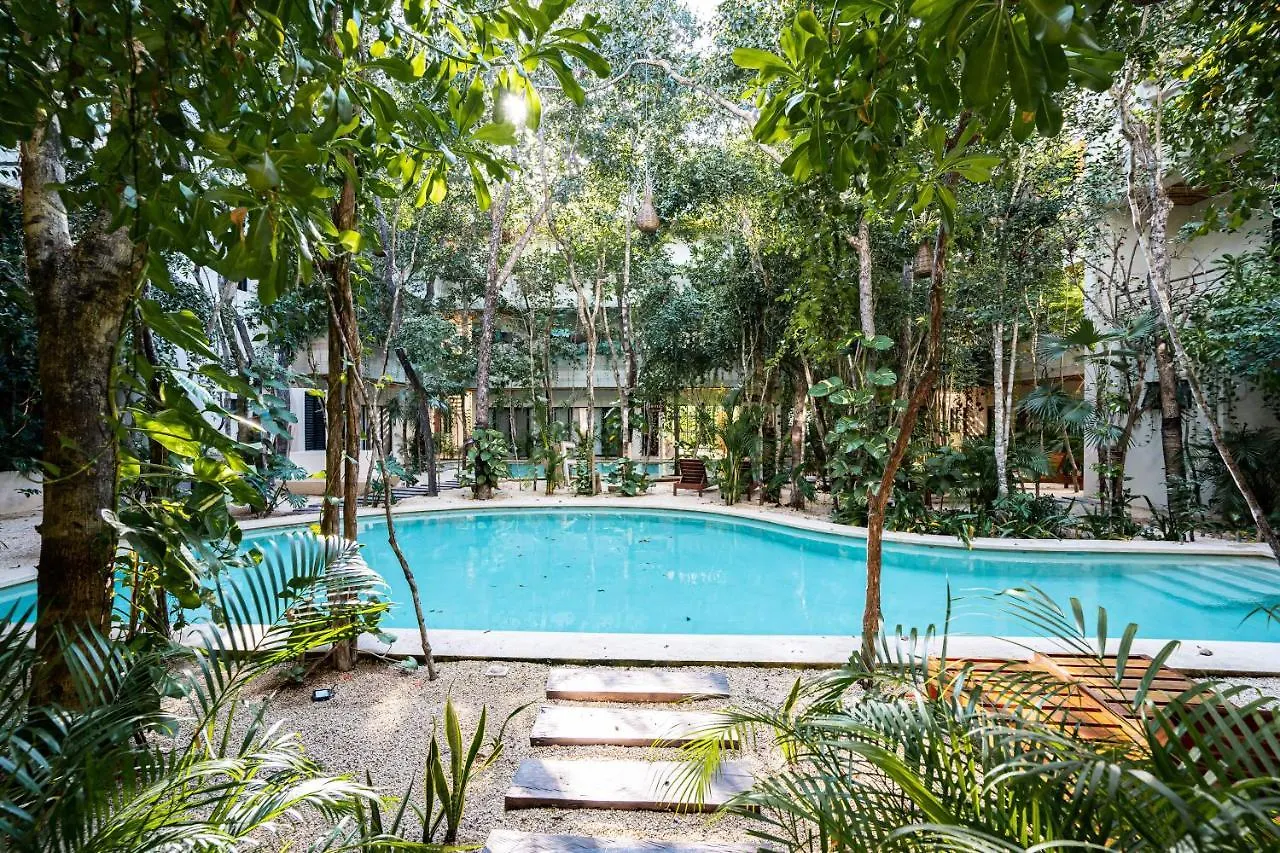 Casai - Private-Pool Hideaway In La Veleta'S Jungle Apartment Tulum 0*,