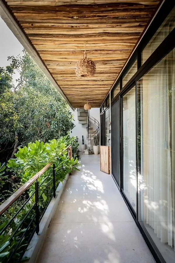 Casai - Private-Pool Hideaway In La Veleta'S Jungle Apartment Tulum Mexico