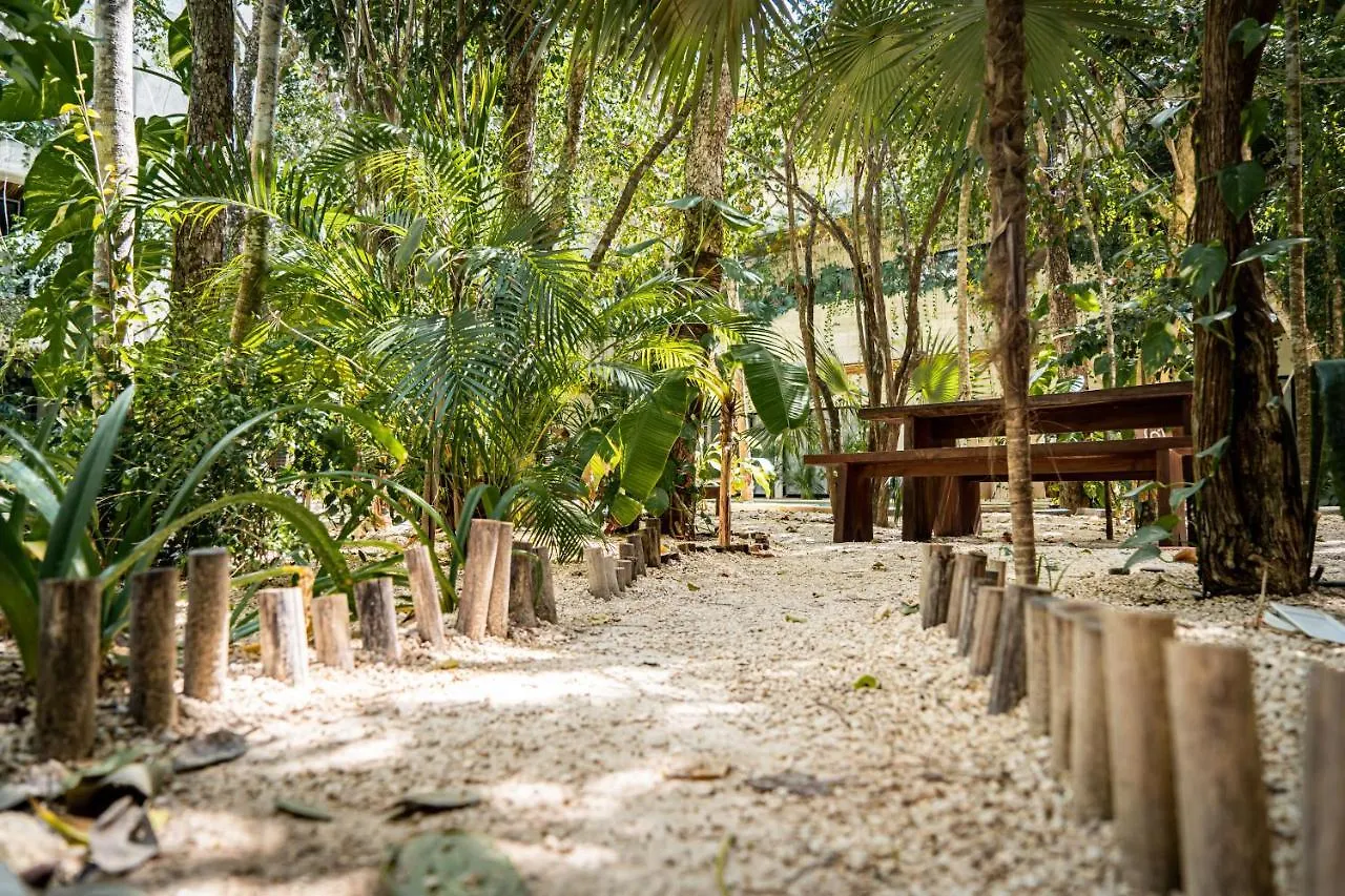 Casai - Private-Pool Hideaway In La Veleta'S Jungle Apartment Tulum