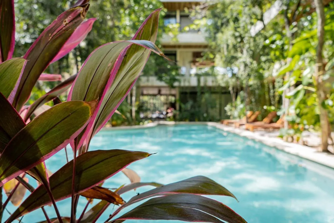 Casai - Private-Pool Hideaway In La Veleta'S Jungle Apartment Tulum