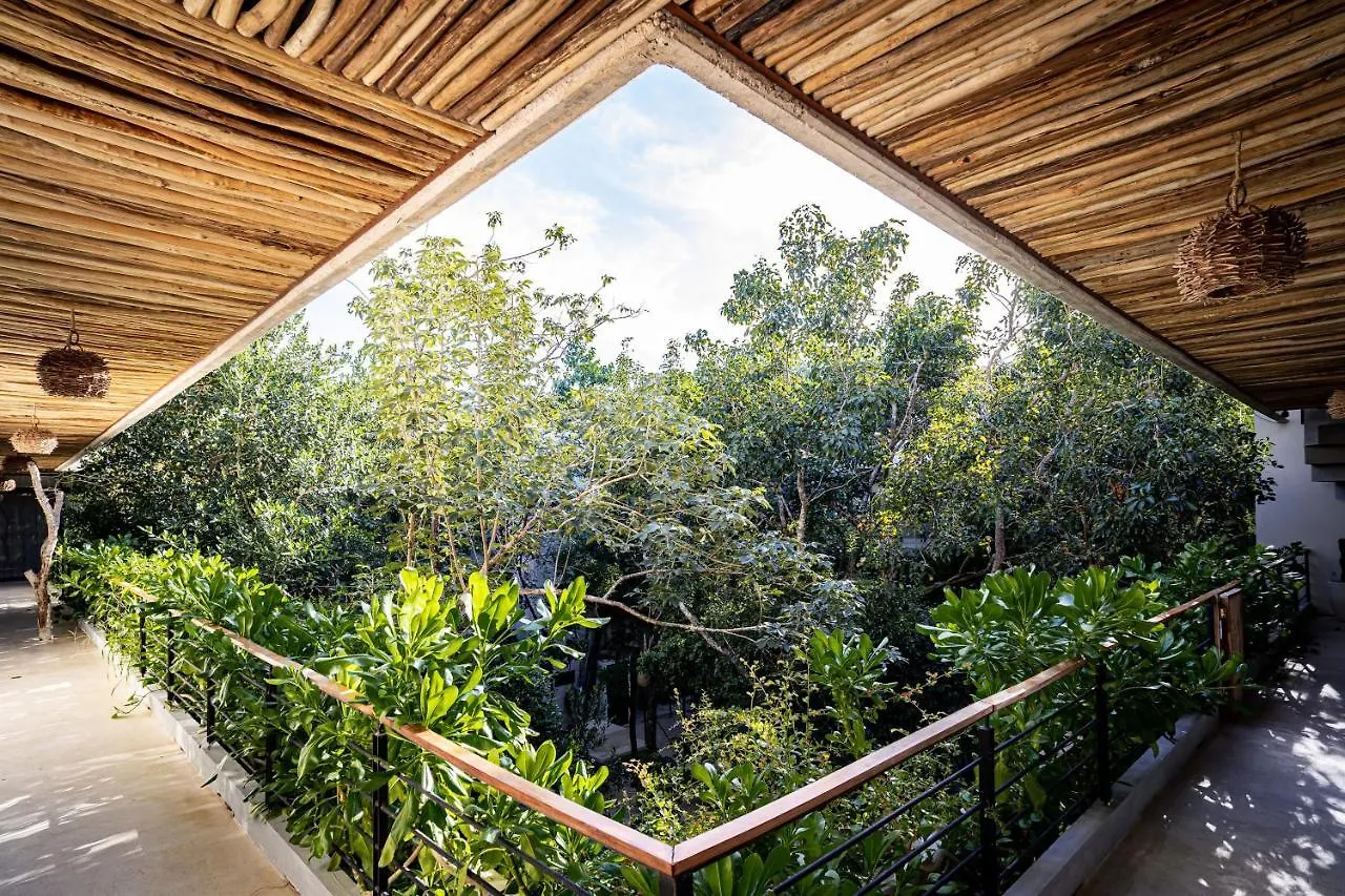 Casai - Private-Pool Hideaway In La Veleta'S Jungle Apartment Tulum Mexico