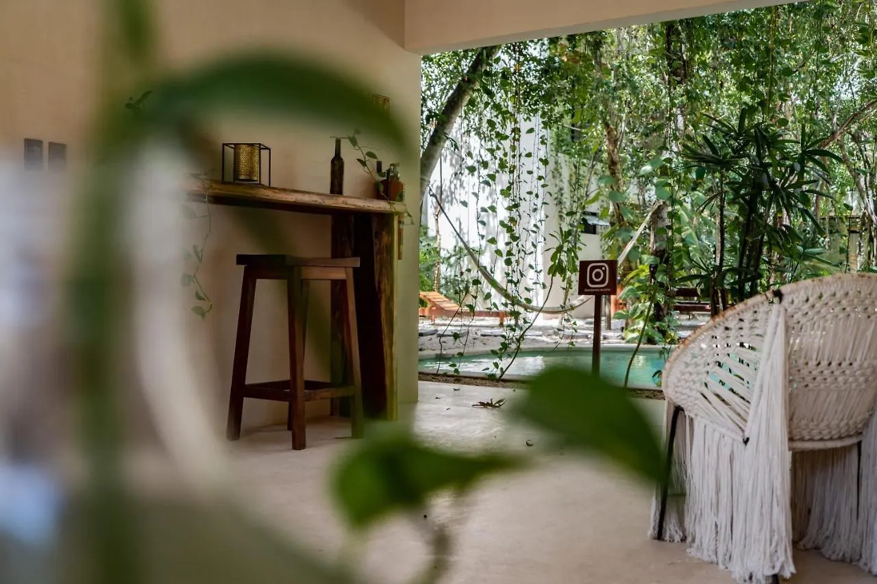 Casai - Private-Pool Hideaway In La Veleta'S Jungle Apartment Tulum 0*,