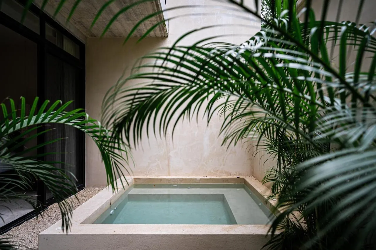 Casai - Private-Pool Hideaway In La Veleta'S Jungle Apartment Tulum 0*,