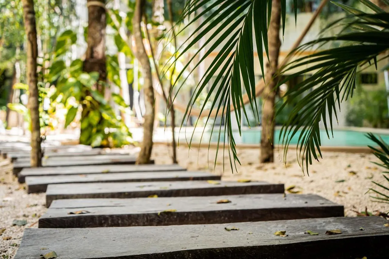 Casai - Private-Pool Hideaway In La Veleta'S Jungle Apartment Tulum 0*,  Mexico