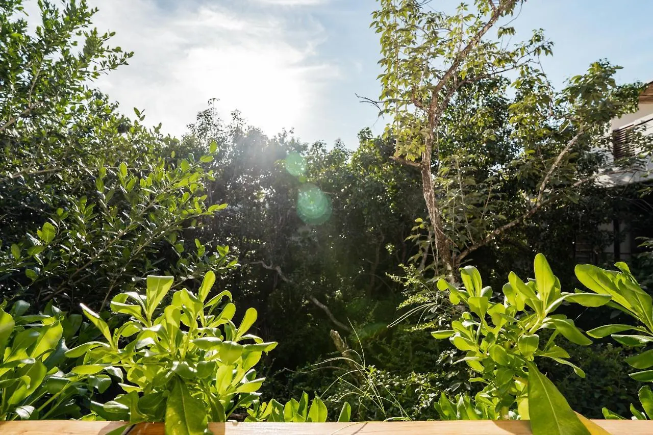 Casai - Private-Pool Hideaway In La Veleta'S Jungle Apartment Tulum