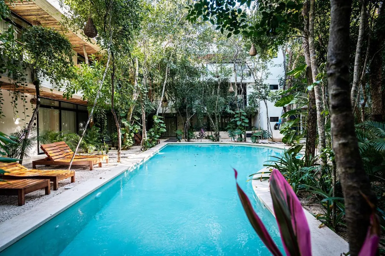Casai - Private-Pool Hideaway In La Veleta'S Jungle Apartment Tulum 0*,  Mexico