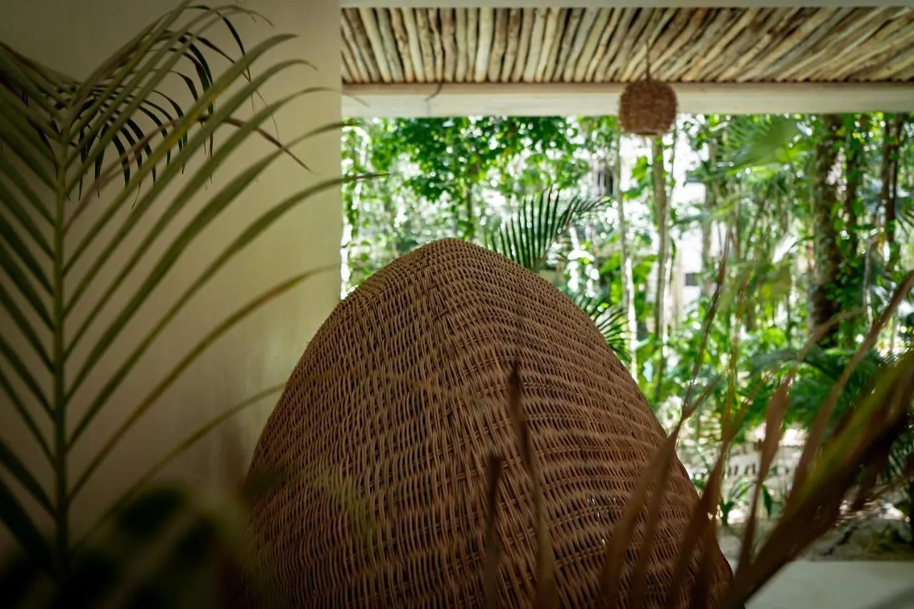 Casai - Private-Pool Hideaway In La Veleta'S Jungle Apartment Tulum