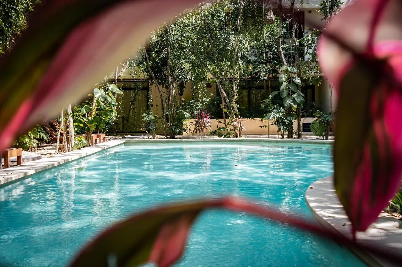 Casai - Private-Pool Hideaway In La Veleta'S Jungle Apartment Tulum