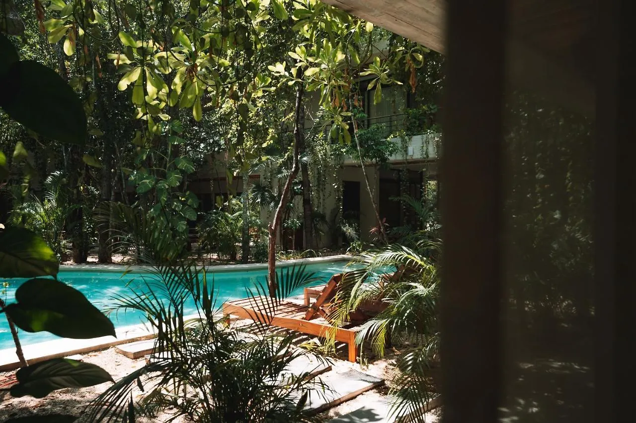 Casai - Private-Pool Hideaway In La Veleta'S Jungle Apartment Tulum 0*,  Mexico