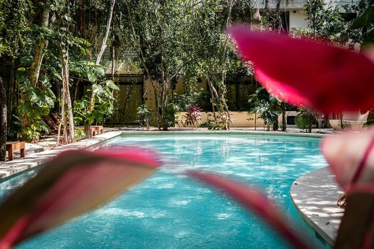 Casai - Private-Pool Hideaway In La Veleta'S Jungle Apartment Tulum