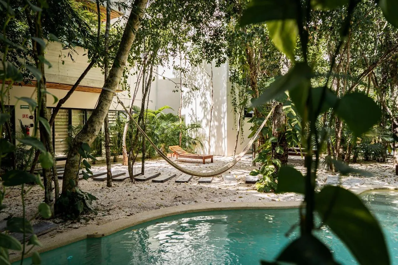 Casai - Private-Pool Hideaway In La Veleta'S Jungle Apartment Tulum