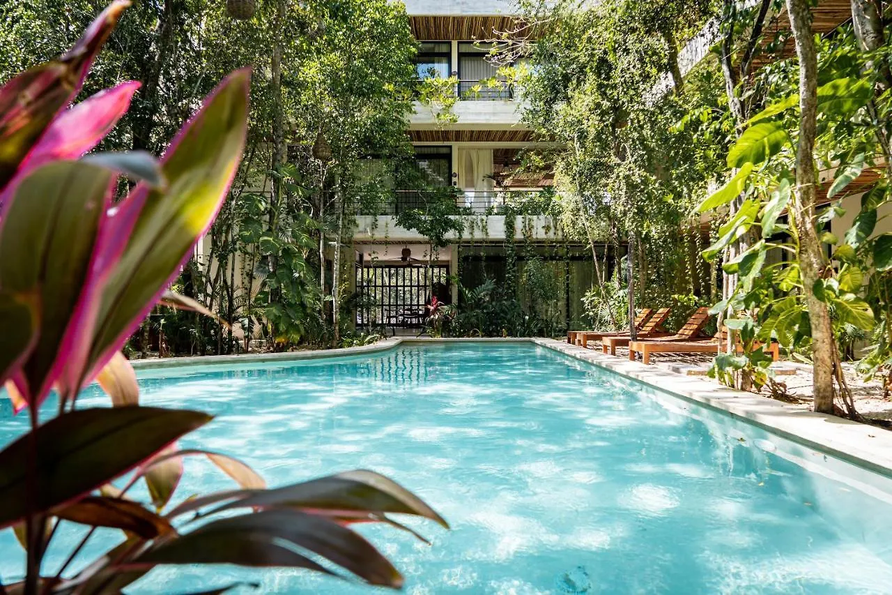 Casai - Private-Pool Hideaway In La Veleta'S Jungle Apartment Tulum Mexico