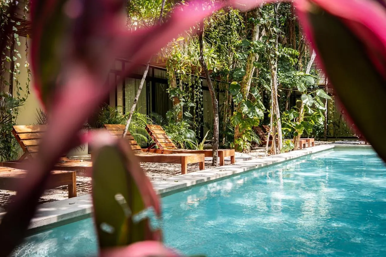 Casai - Private-Pool Hideaway In La Veleta'S Jungle Apartment Tulum